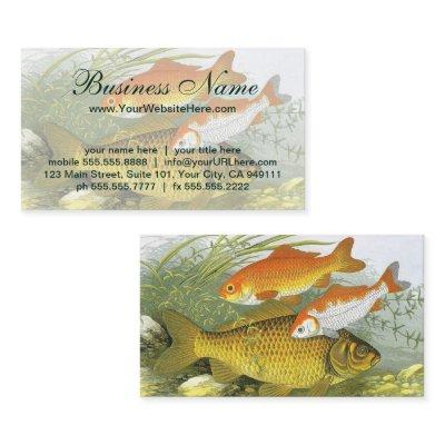 Vintage Goldfish Koi Fish, Marine Aquatic Sea Life