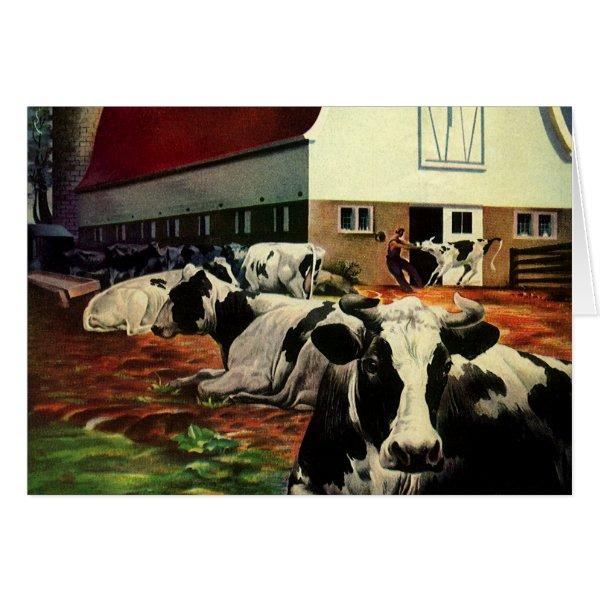 Vintage Holstein Milk Cows on Dairy Farm Business