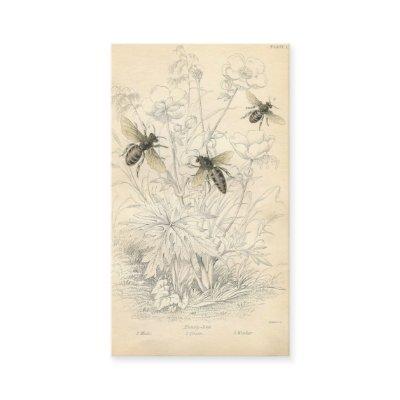 Vintage Honey Bees Drawing, Custom