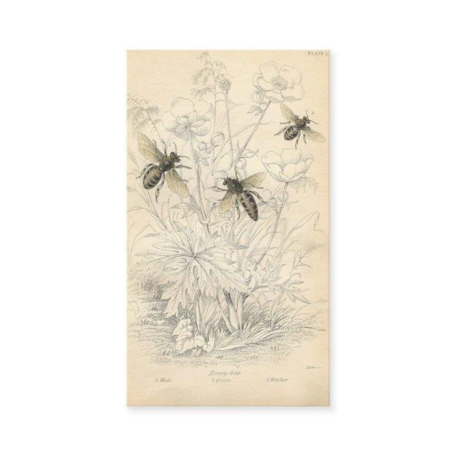 Vintage Honey Bees Drawing, Custom
