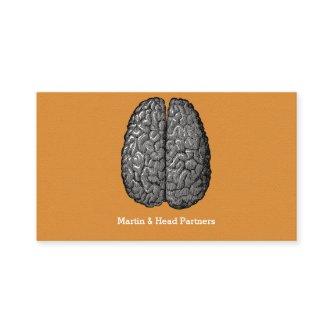 Vintage Illustration of Human Brain