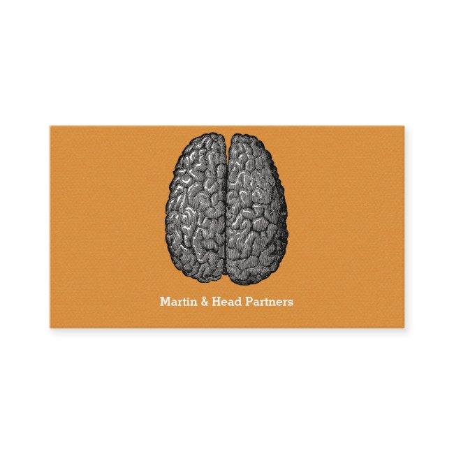 Vintage Illustration of Human Brain