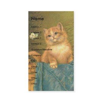 Vintage Kitten and Butterfly