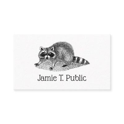 Vintage Masked Raccoon