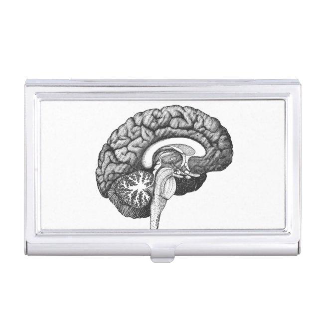 Vintage medical anatomy illustration human brain case