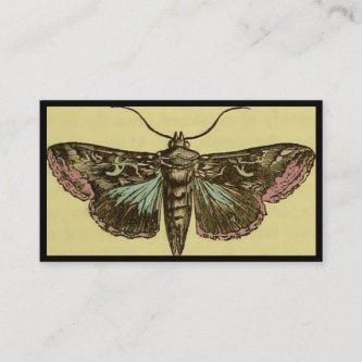 Vintage Moth Customizable