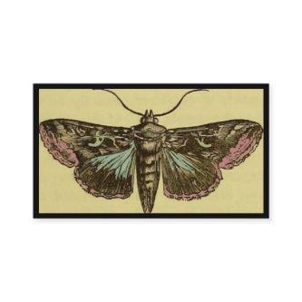 Vintage Moth Customizable