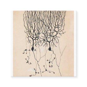 Vintage Neuron Drawing By Santiago Ramón y Cajal Square