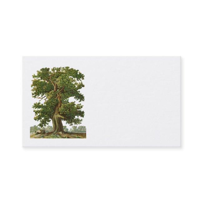 Vintage Oak Tree