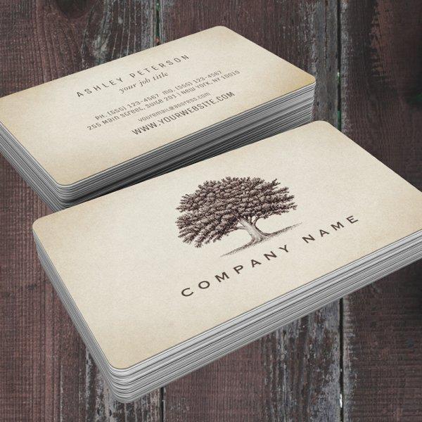 Vintage Old Oak Tree Elegant