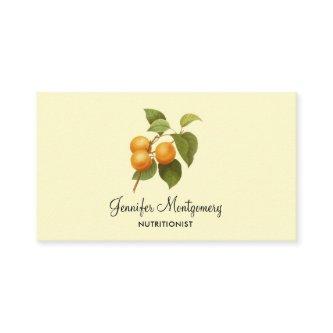 Vintage Orange Apricots Watercolor Drawing