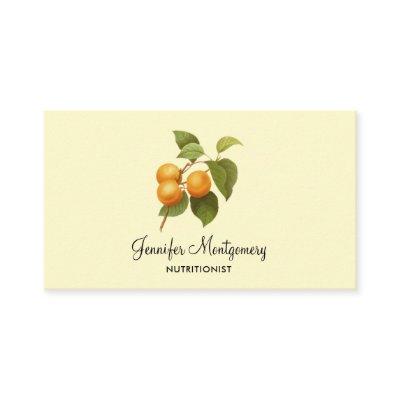 Vintage Orange Apricots Watercolor Drawing