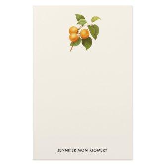 Vintage Orange Apricots Watercolor Drawing Stationery