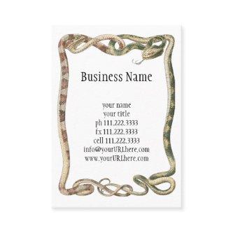 Vintage Reptiles, Entwined Snakes or Vipers Border