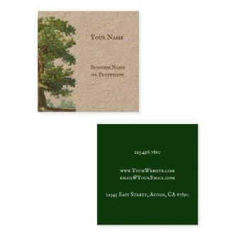 Vintage Rustic Oak Tree Custom Square