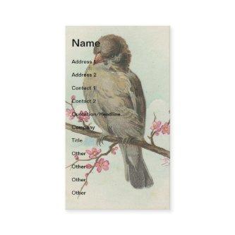 Vintage Sparrow