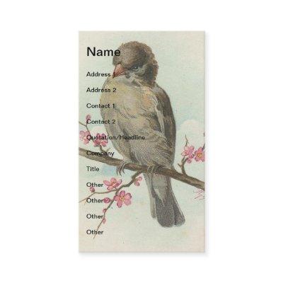 Vintage Sparrow
