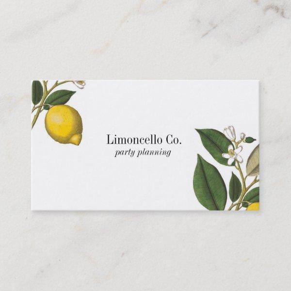 Vintage Style Lemon Botanical Print