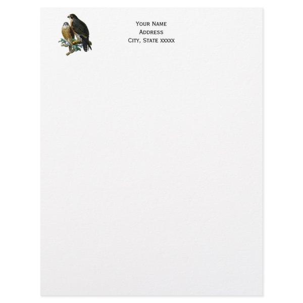 Vintage Stylized Falcons on a Branch Letterhead