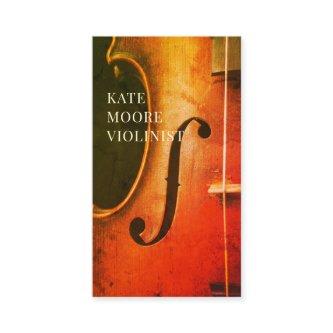 Violin Violinist Musician