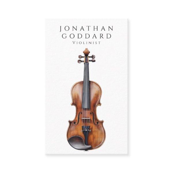 Violinist Violin Music Teacher Musician