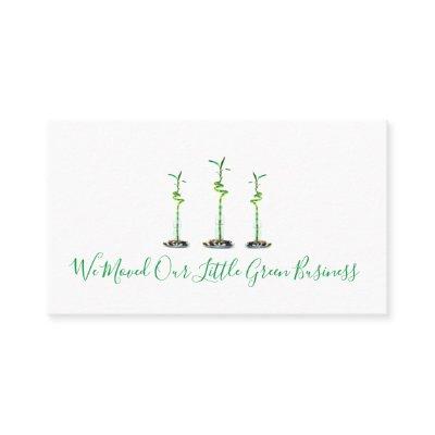 We Moved New Business Address Lucky Bamboo