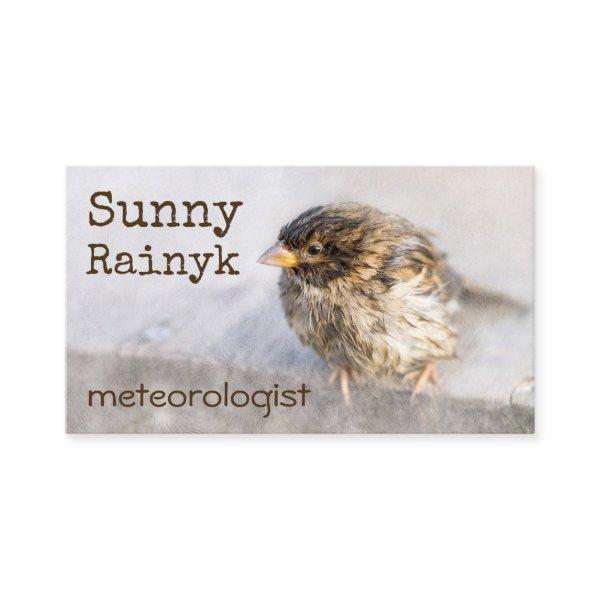 Weather Forecast Funny Customizable