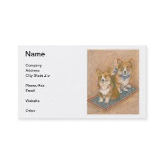 Welsh Corgi