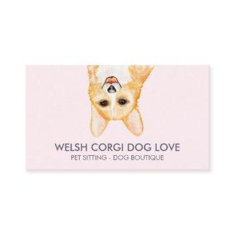 Welsh Corgi Dog