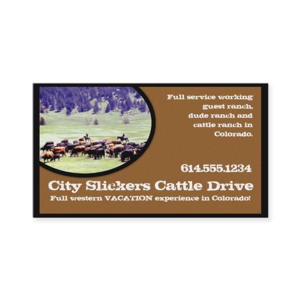 Western Country  :: Cattle Drive