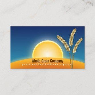 Wheat Ears Sunrise Horticulture