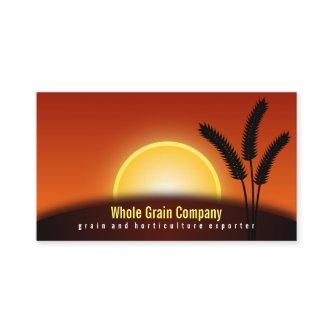 Wheat Ears Sunset Horticulture