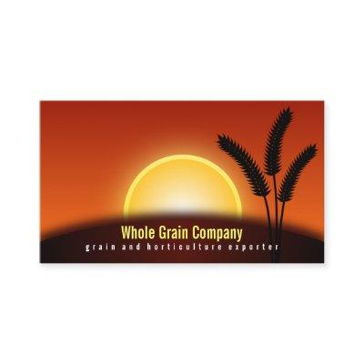 Wheat Ears Sunset Horticulture