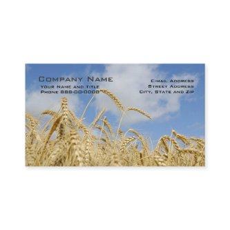 Wheat Farmer