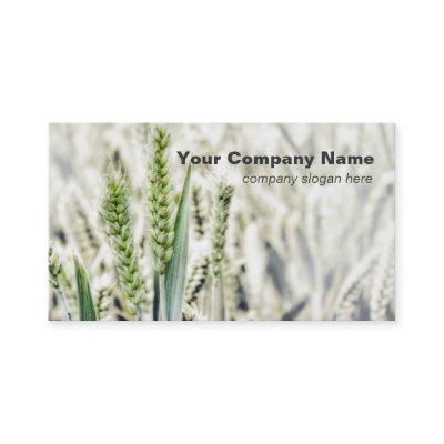 Wheat Field Custom