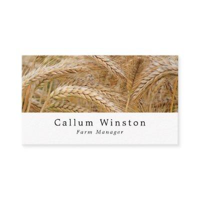 Wheat in Field, Farmer & Butcher