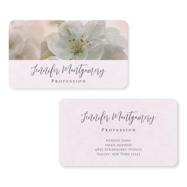 White Apple Blossom Photograph