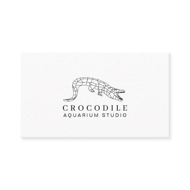 White Aquarium Crocodile Alligator