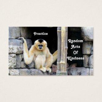 White Cheeked Gibbon Random Acts of Kindness Cards
