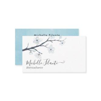 White Cherry Blossoms