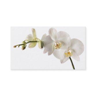 White Dendrobium Orchid Flower Spray Floral Blank