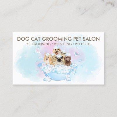 White Dogs Cats Cute Pet Grooming