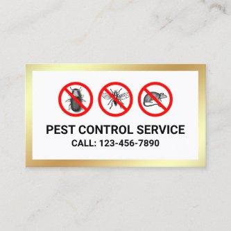 White Gold Bugs Removal Pest Control Service