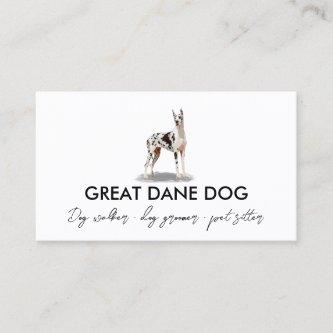 White Great Dane Harlequin Dog
