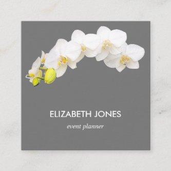 White Orchid Flowers Lilac Gray Background Square