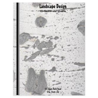 White Quaking Aspen Tree Bark Texture Letterhead
