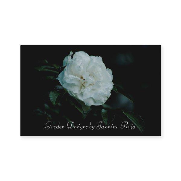 White Rose