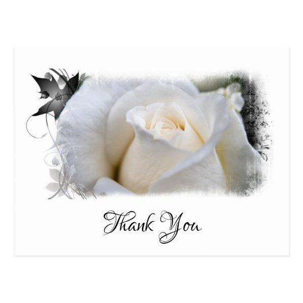 *~* White Rose Floral Artistic THANK YOU AR8 Postcard