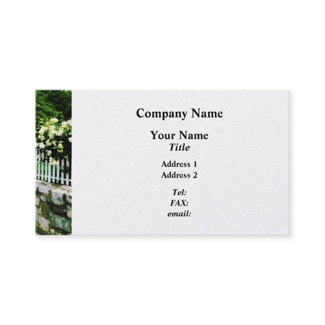 White Roses on Picket Fence - Platinum Finish
