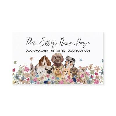 White Simple Dog Breed Puppy Grooming Petsitter